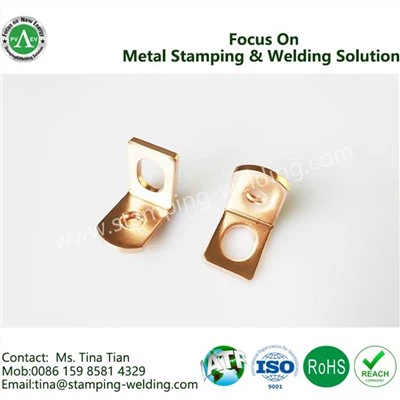 Vario pritvirtinanti ląstelė (fiksavimo lizdas)